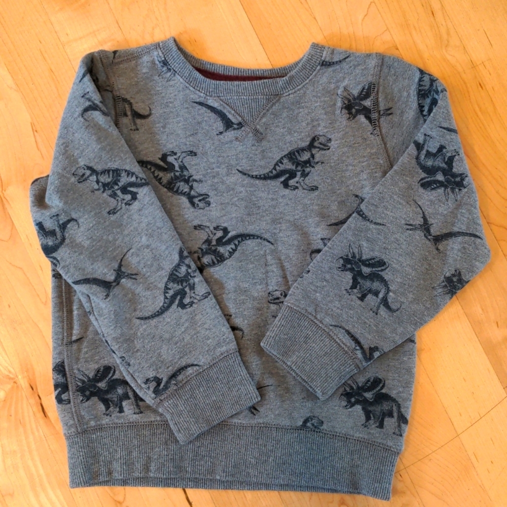 Carter's Dinosaur Sweatshirt